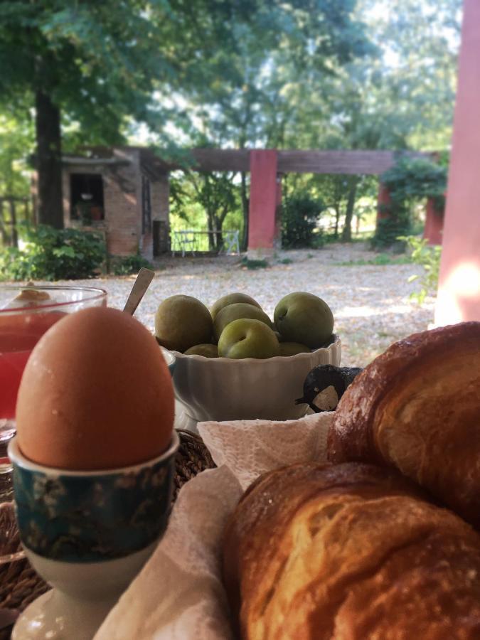 Monfra - Ospitalita Rurale, Vigneti E Cantina Vignale Eksteriør billede